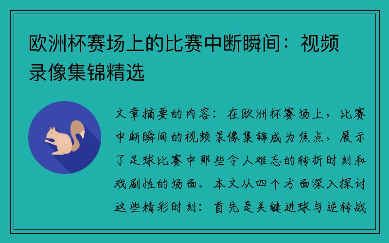 欧洲杯赛场上的比赛中断瞬间：视频录像集锦精选